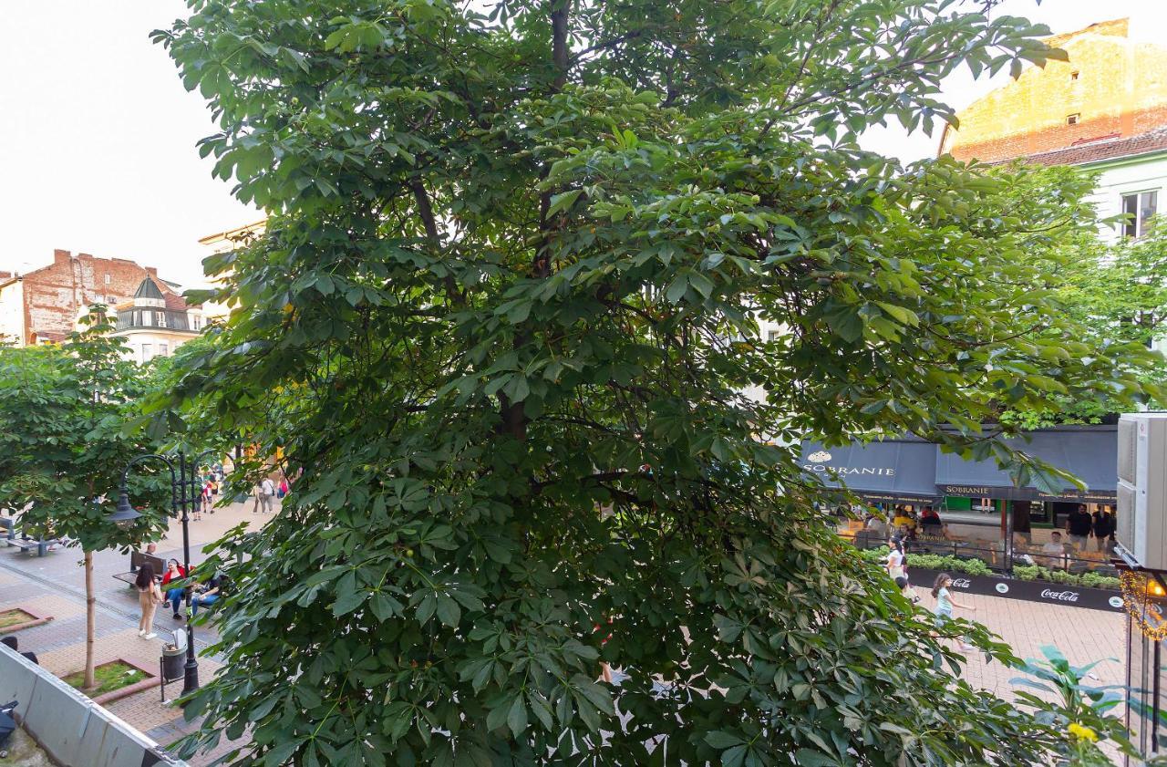 Central Vitosha Apartment โซเฟีย ภายนอก รูปภาพ